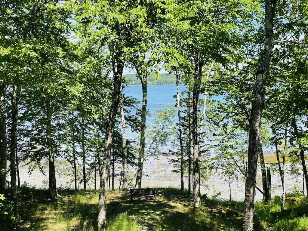 Chalet With A Private Beach In Acadia National Park Bar Harbor Bagian luar foto